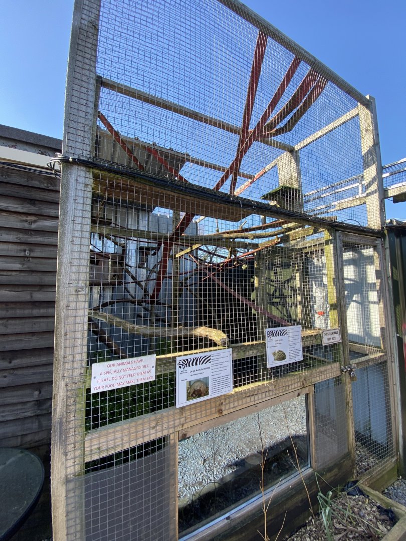 Large hairy armadillo and Cape genet enclosure 020325