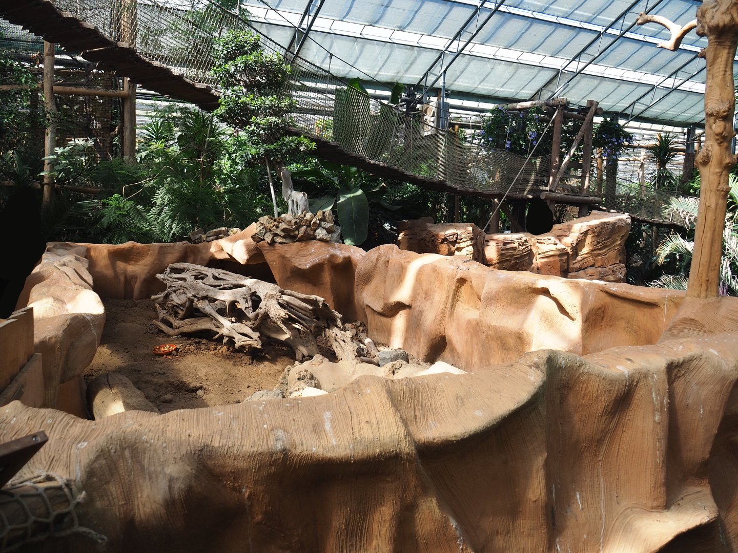 Large hairy armadillo exhibit in the Oasis, 2021-09-03