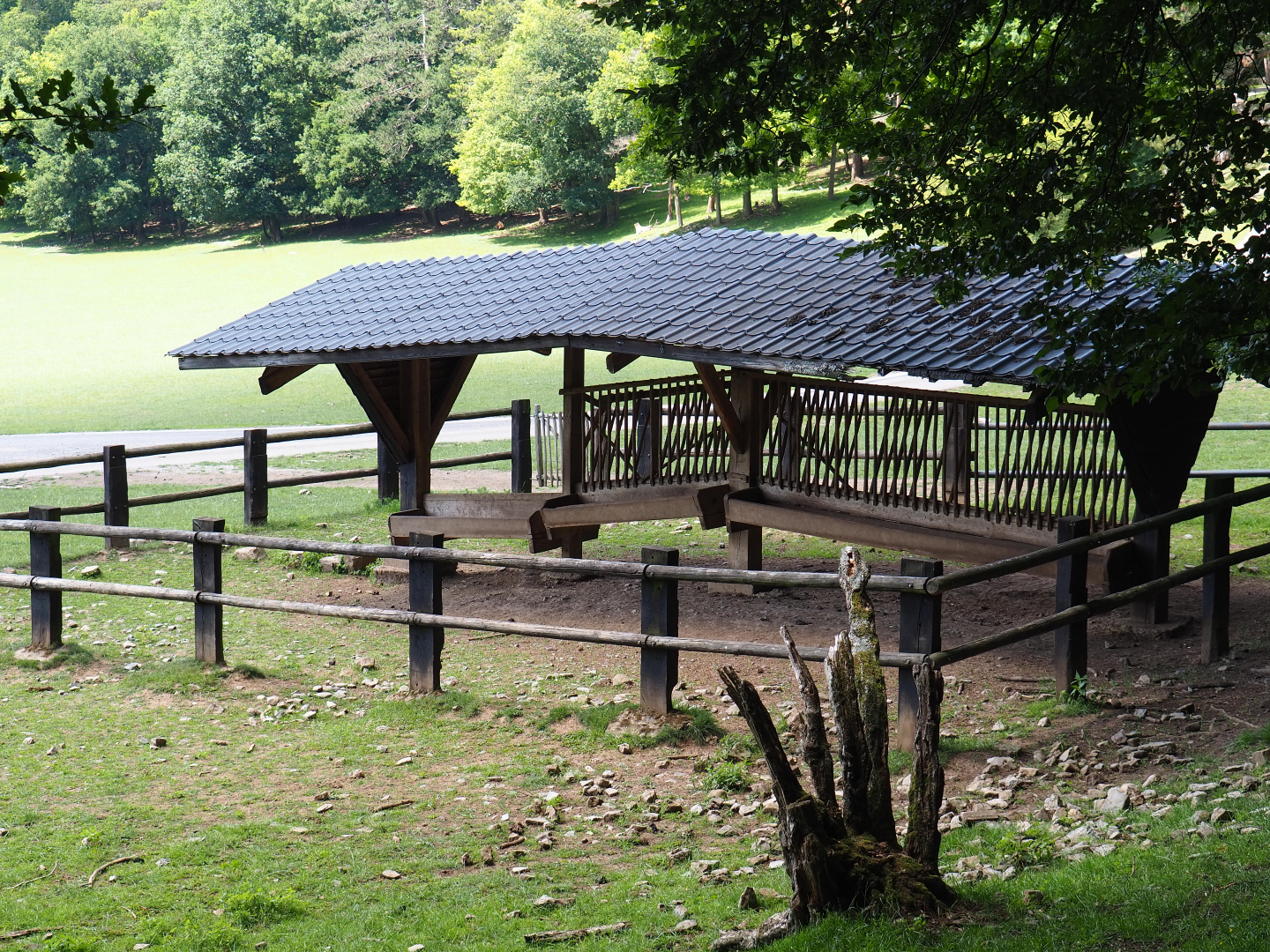 Large hoofstock feeding rack, 2020-07-12