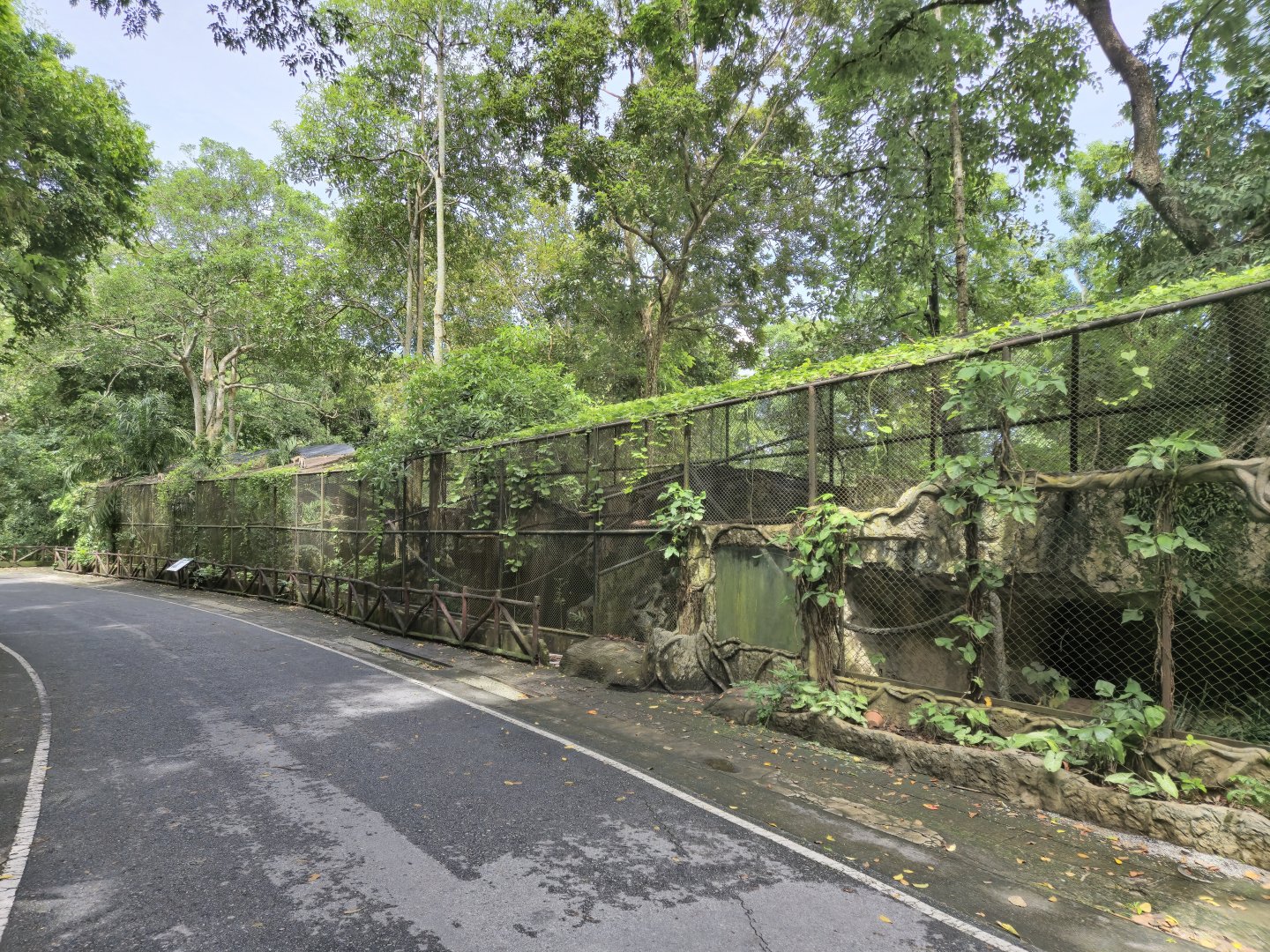 Large Indian Civet/Binturong exhibits