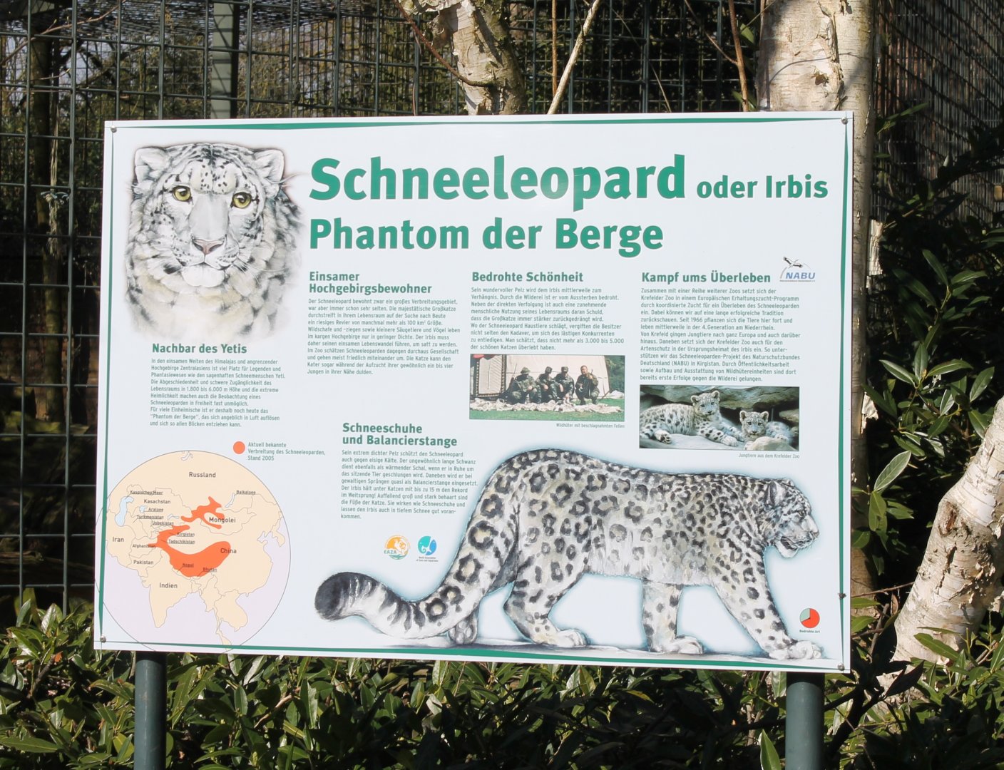 Large info-sign Snow leopard