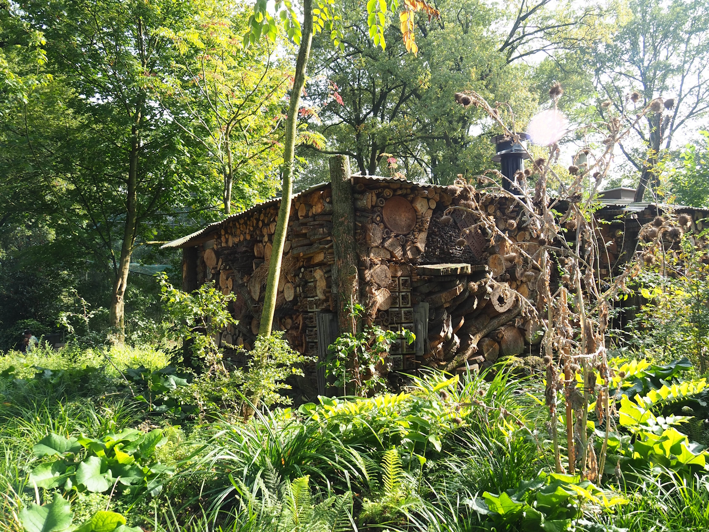Large insect hotel around technical building, 2023-10-07
