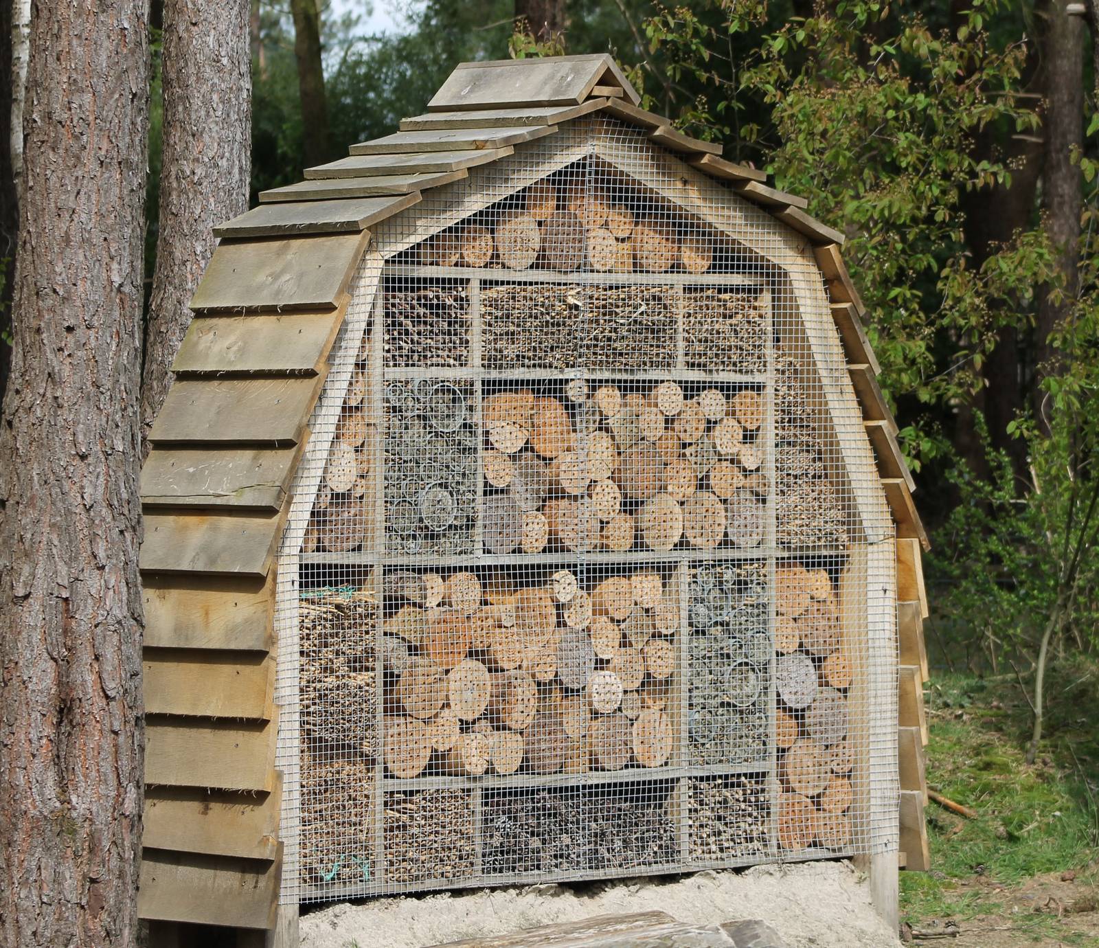 Large Insect hotel