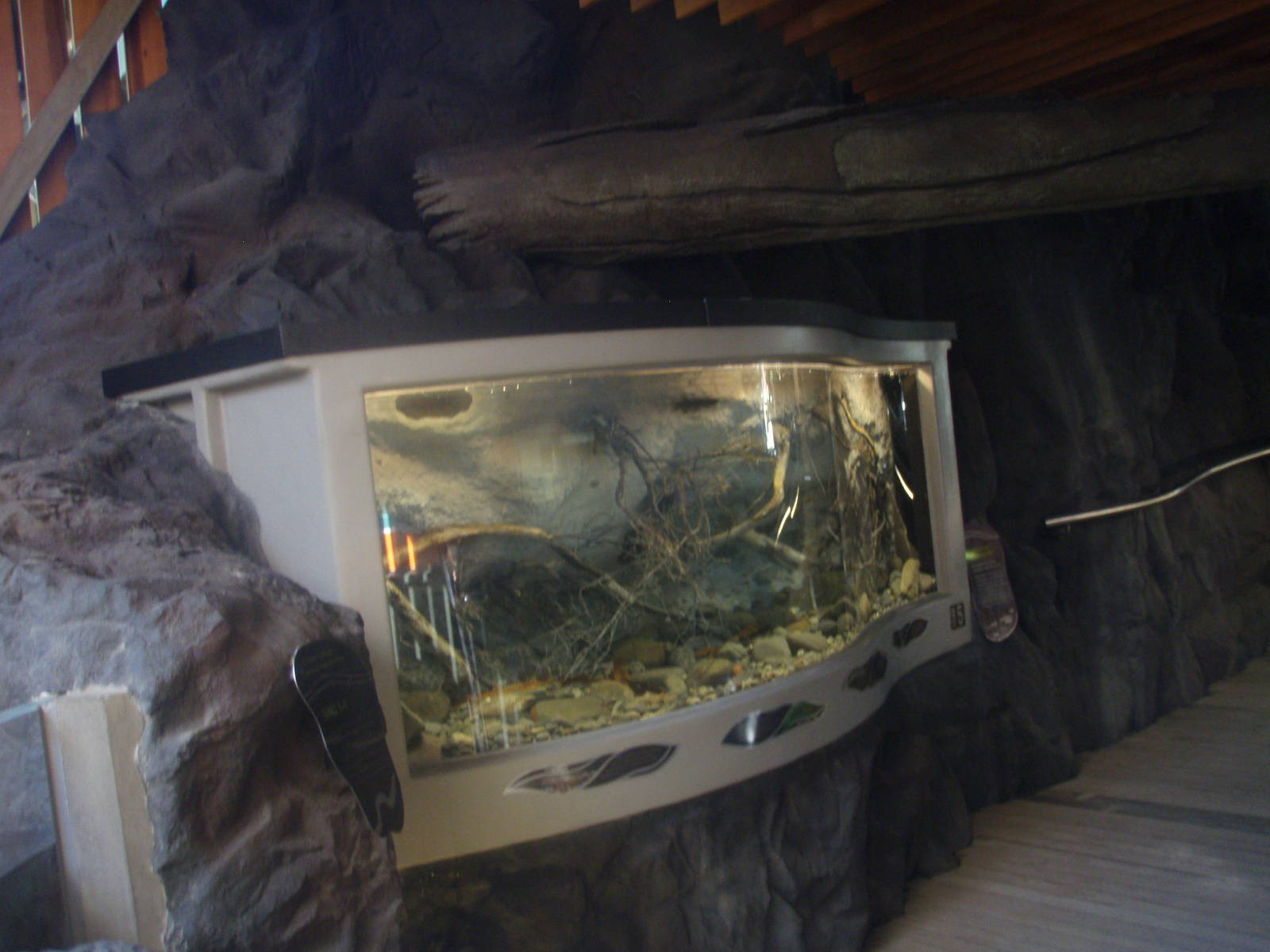 Large Kokopu Tank - Tongariro National Trout Centre