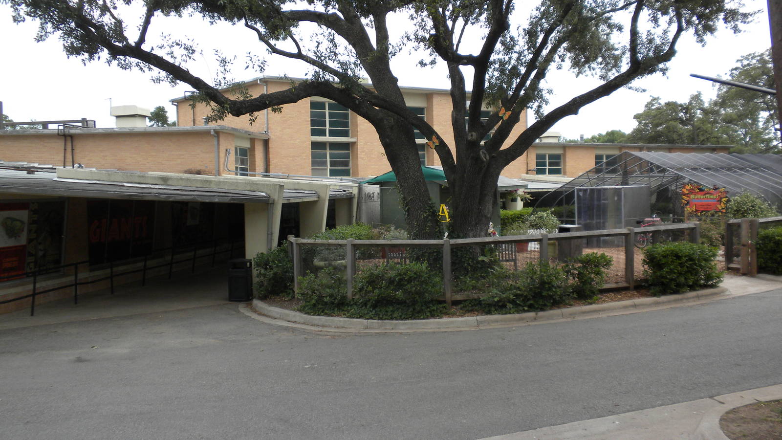 Large Mammal Building and Butterfly exhibit