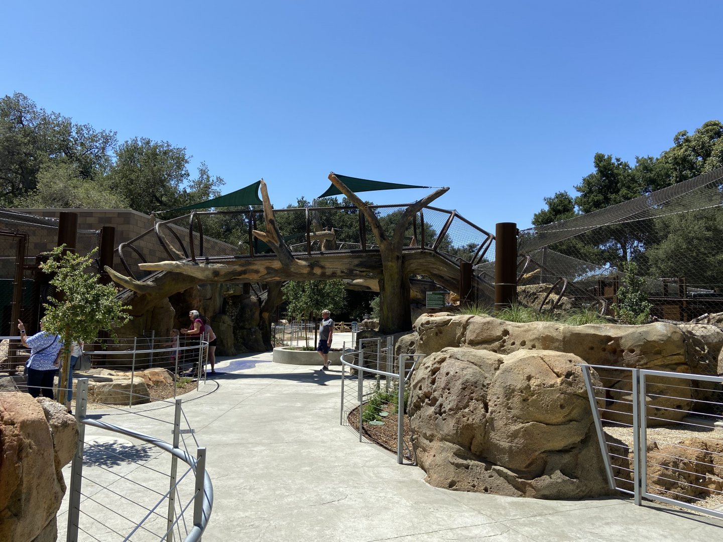 Large Mammal Exhibit 10