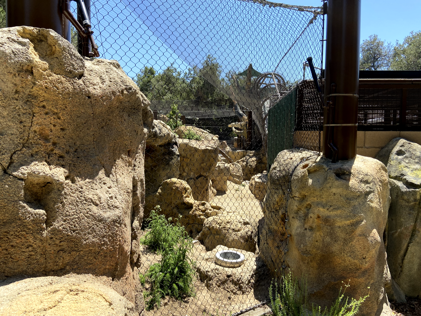 Large Mammal Exhibit 12