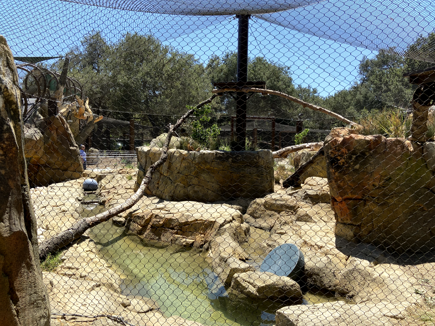 Large Mammal Exhibit 13