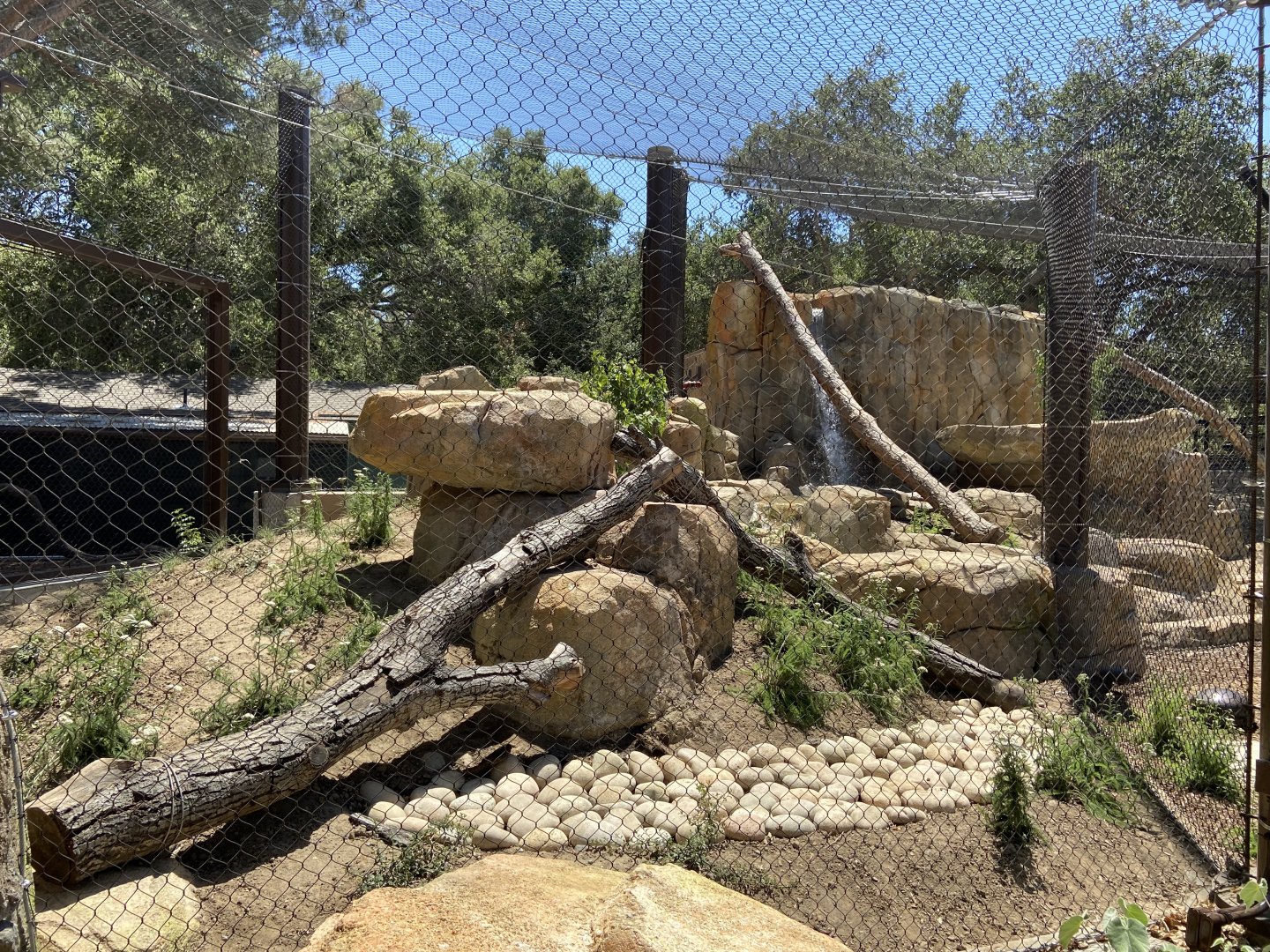 Large Mammal Exhibit 2