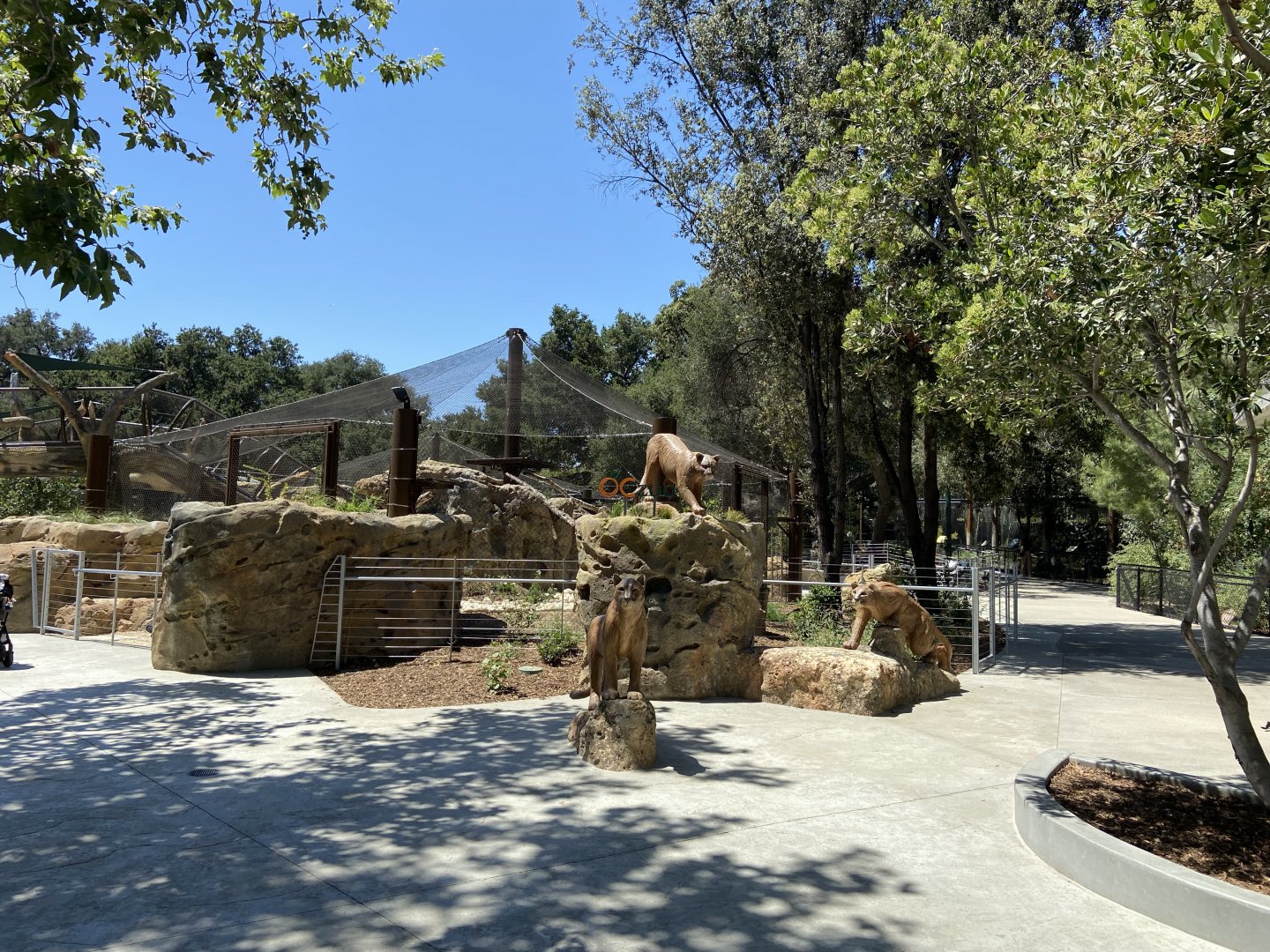 Large Mammal Exhibit 3