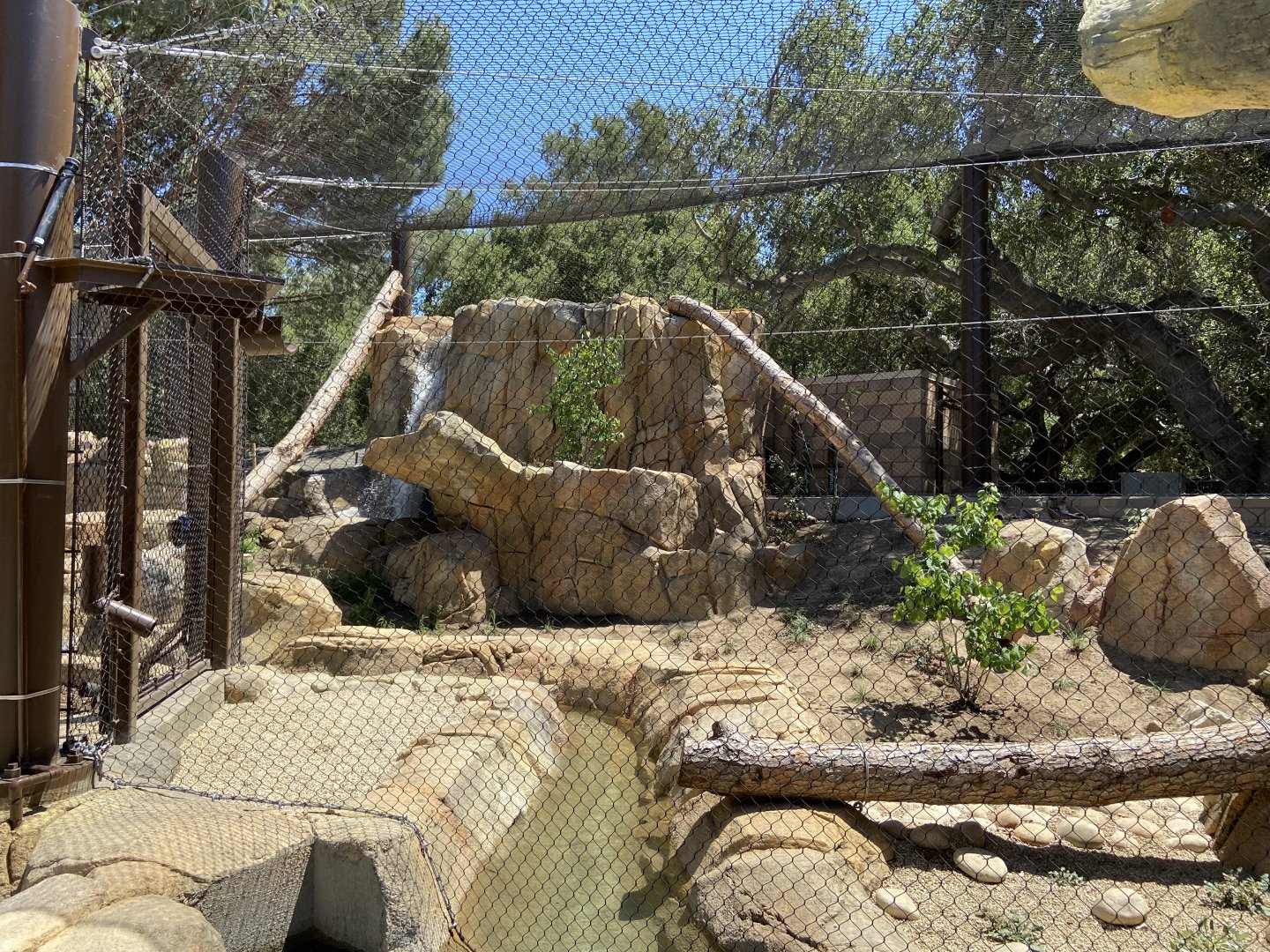 Large Mammal Exhibit 8