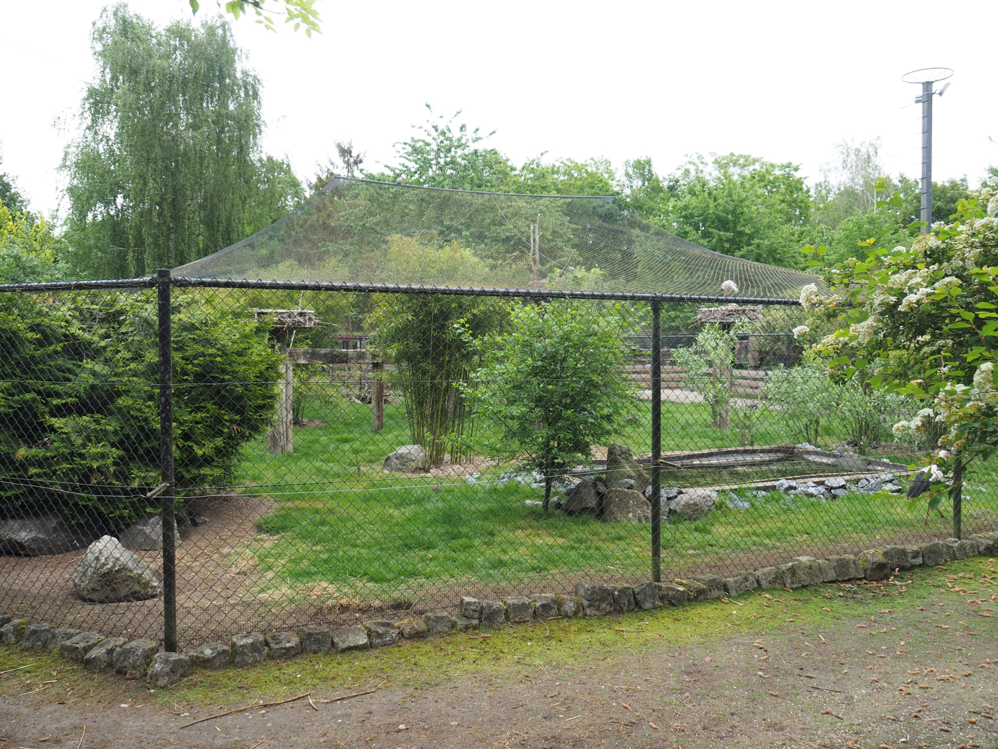 Large mixed aviary, 2022-05-17