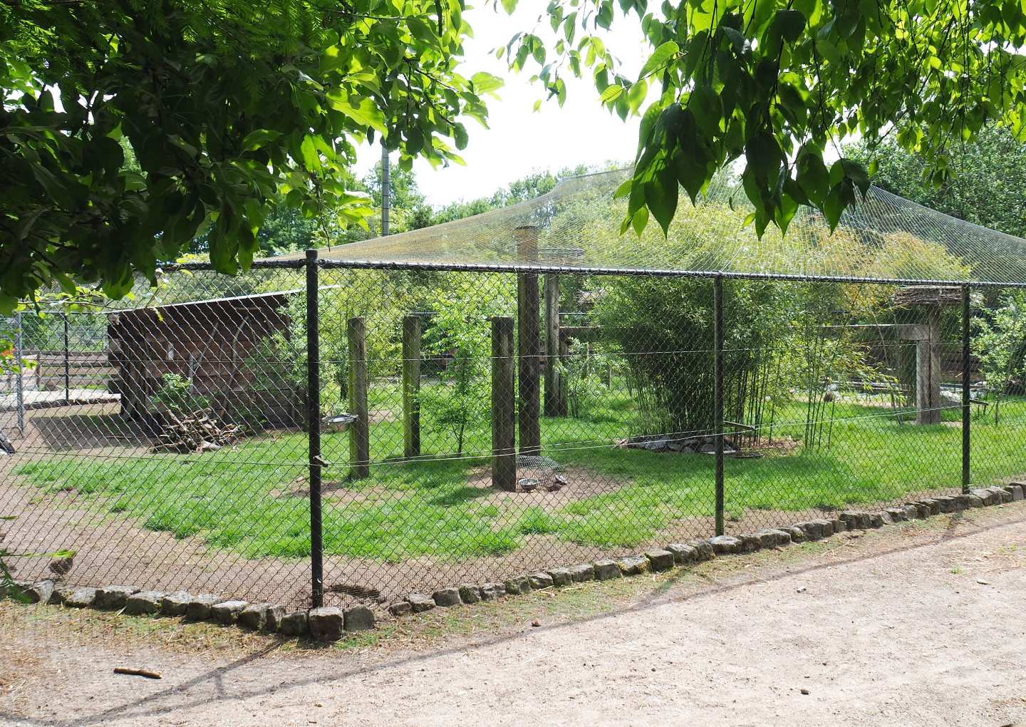 Large mixed aviary, 2022-05-17