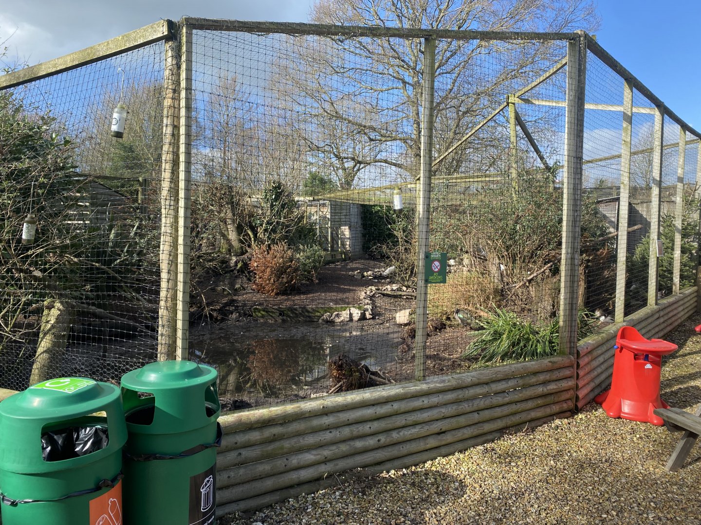 Large mixed aviary 250222