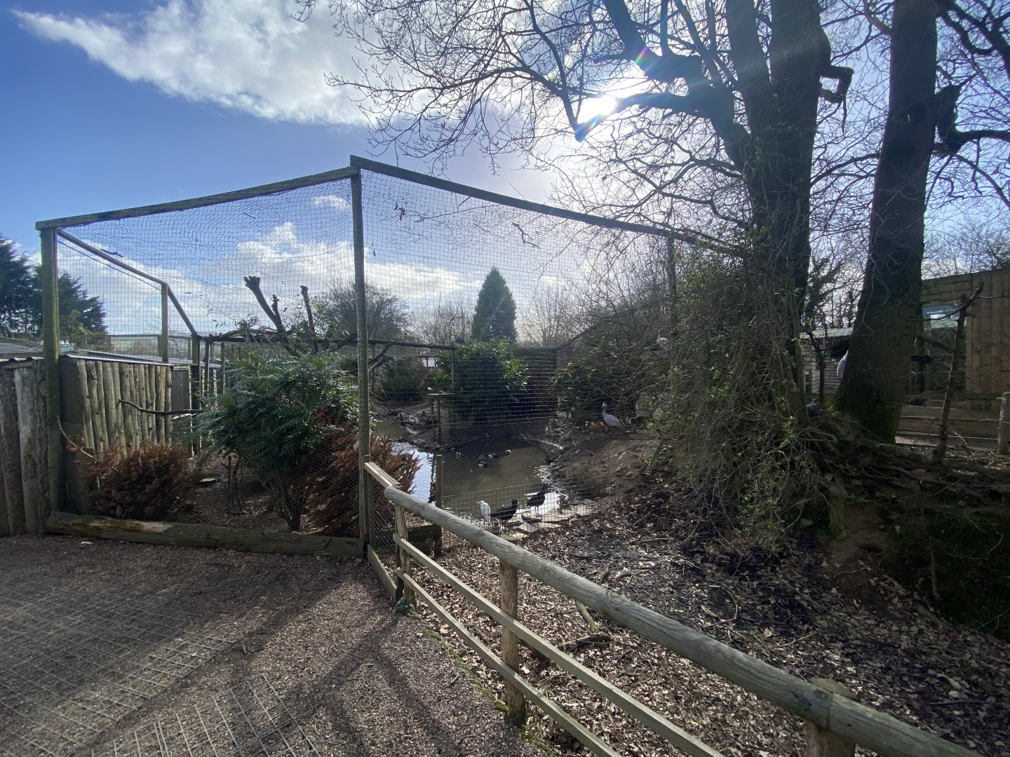 Large mixed aviary from other view 250222
