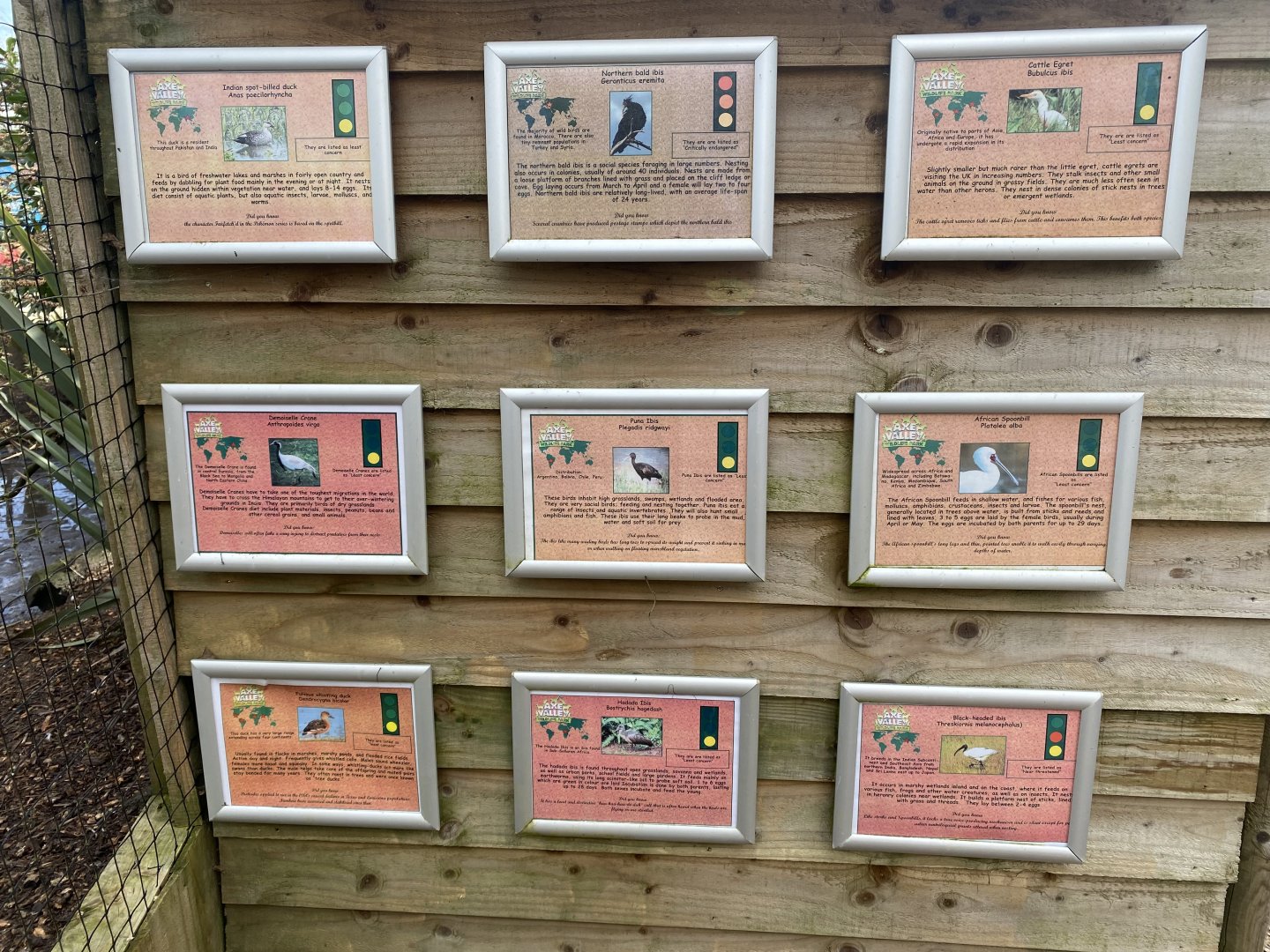 Large mixed aviary information boards 250222