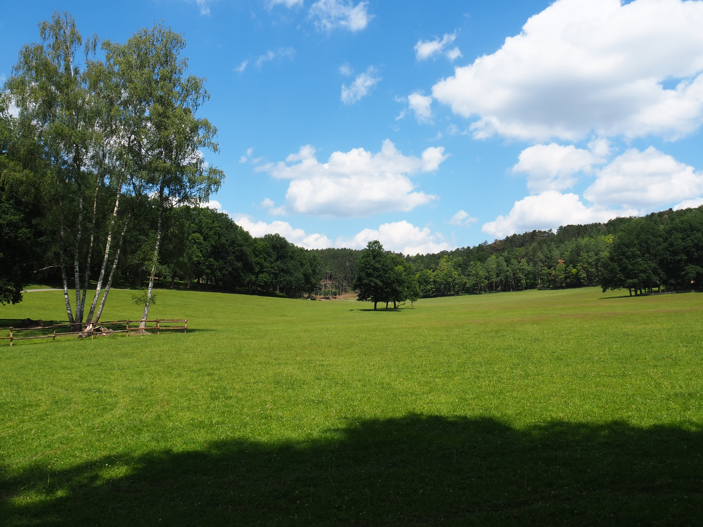 Large mixed hoofstock paddock in the Lesse valley/Lower area of the wildlife park, 2020-07-12