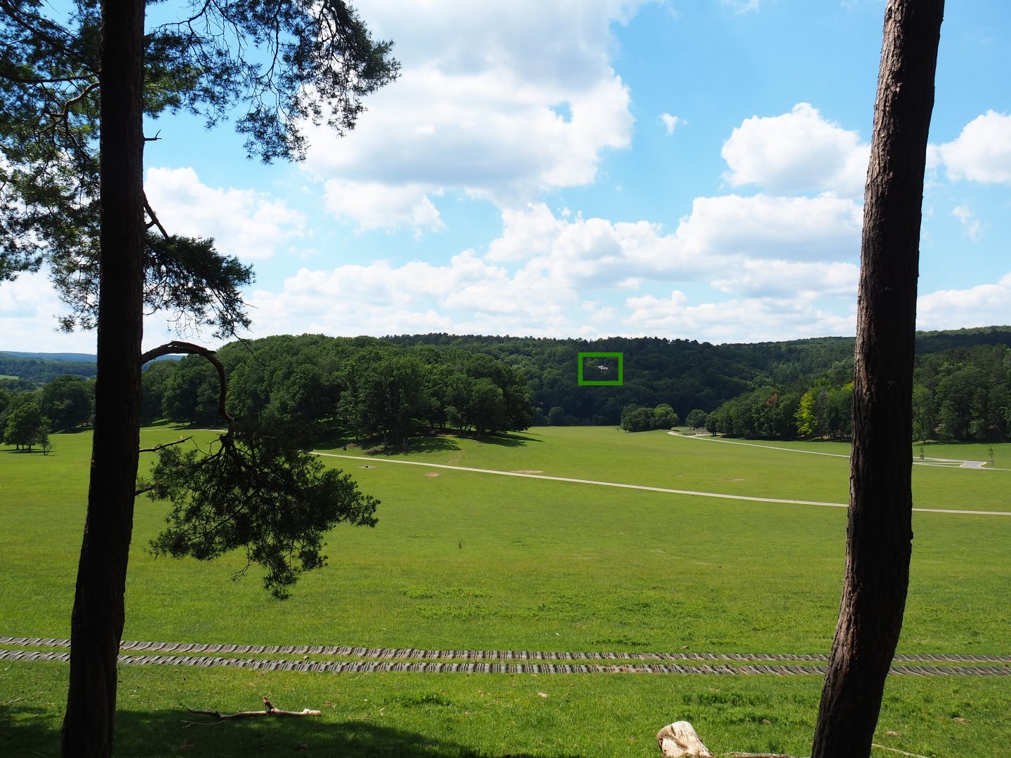 Large mixed hoofstock paddock in the Lesse valley/Lower area of the wildlife park, 2020-07-12