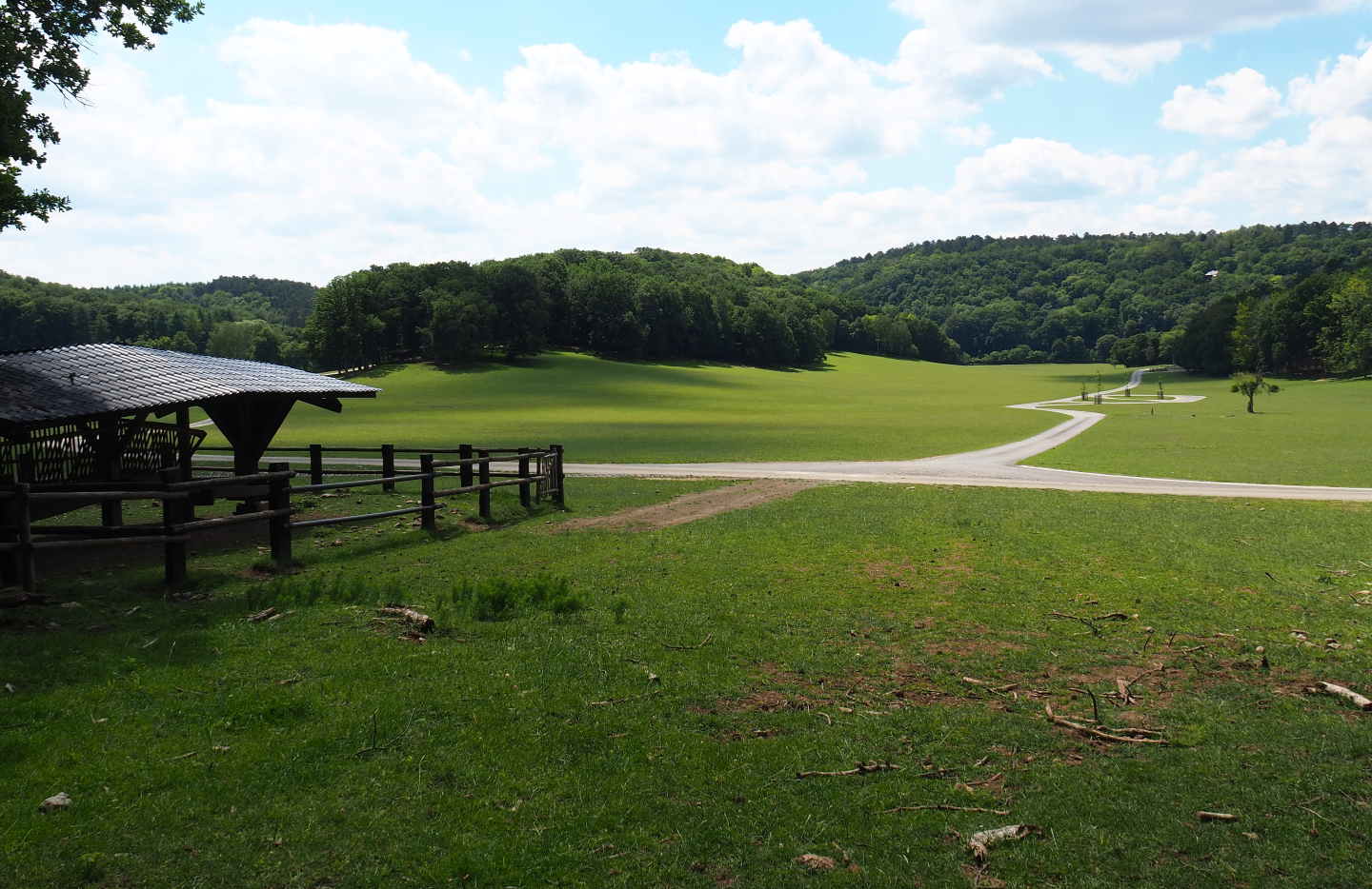 Large mixed hoofstock paddock in the Lesse valley/Lower area of the wildlife park, 2020-07-12