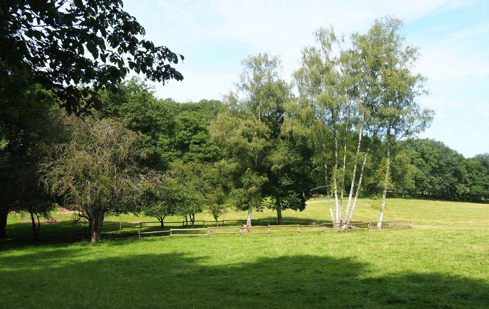 Large mixed paddock in the Lesse Valley and lower part of the wildlife park, 2021-08-15