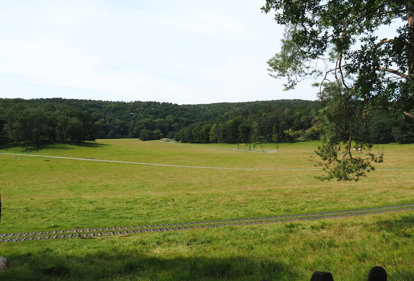Large mixed paddock in the Lesse Valley and lower part of the wildlife park, 2021-08-15