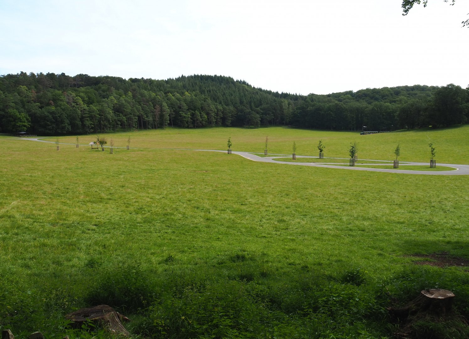 Large mixed paddock in the Lesse Valley and lower part of the wildlife park, 2021-08-15