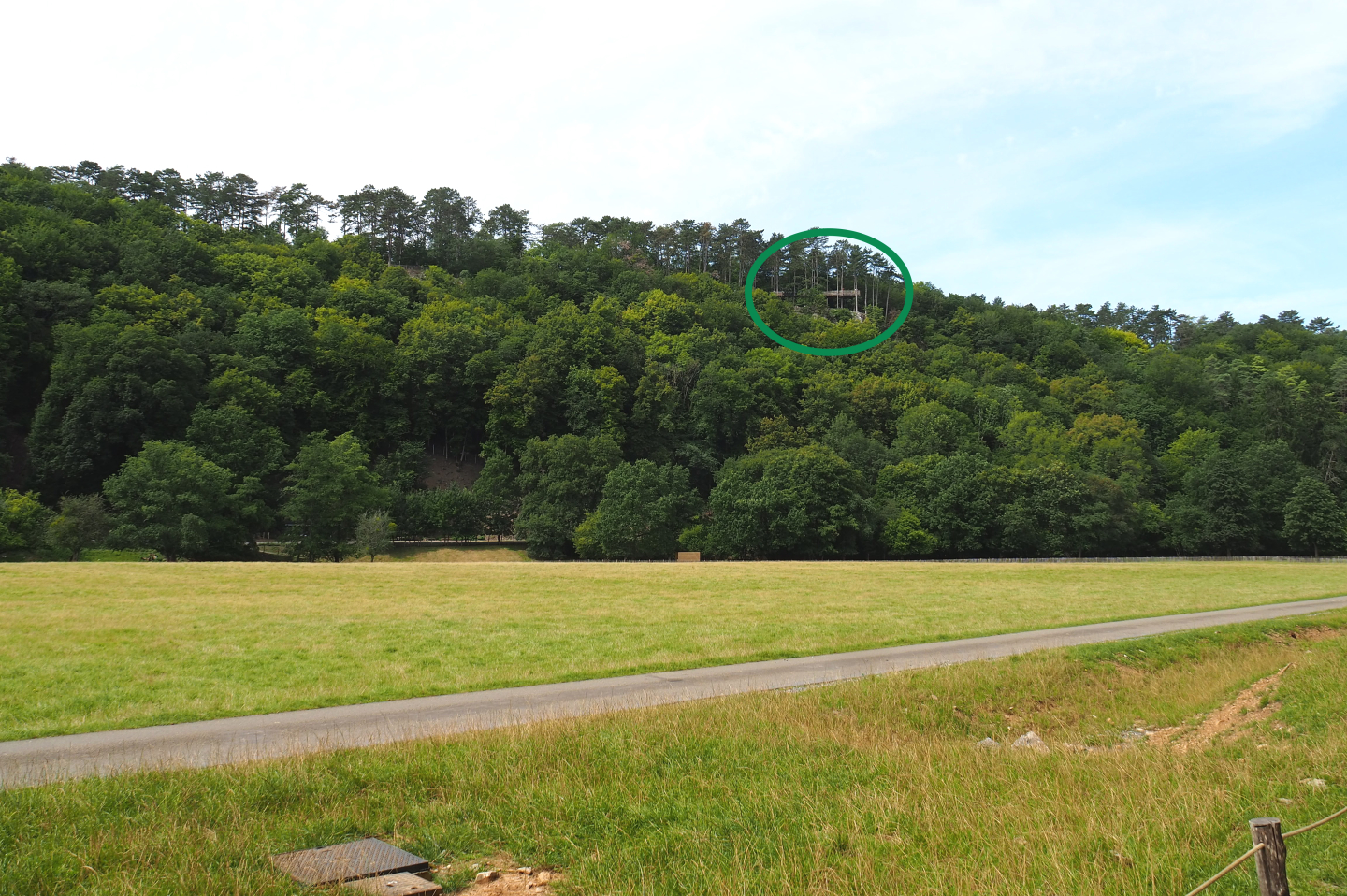 Large mixed paddock in the Lesse Valley and lower part of the wildlife park, 2021-08-15