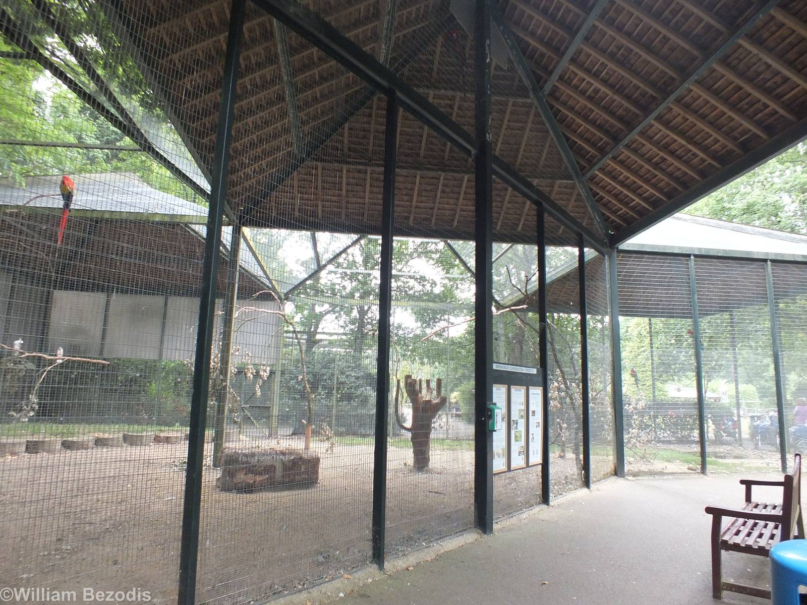 Large Mixed Parrot Species Enclosure