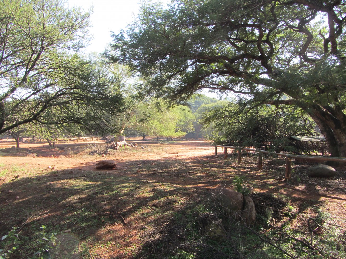 Large Mixed Species Yard