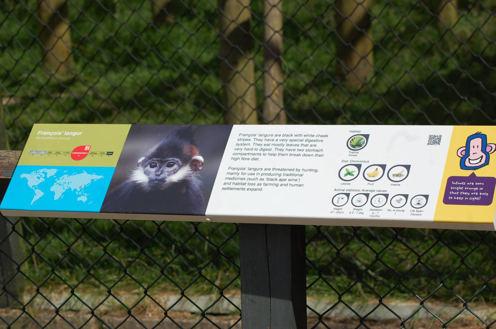 Large New Signage Style