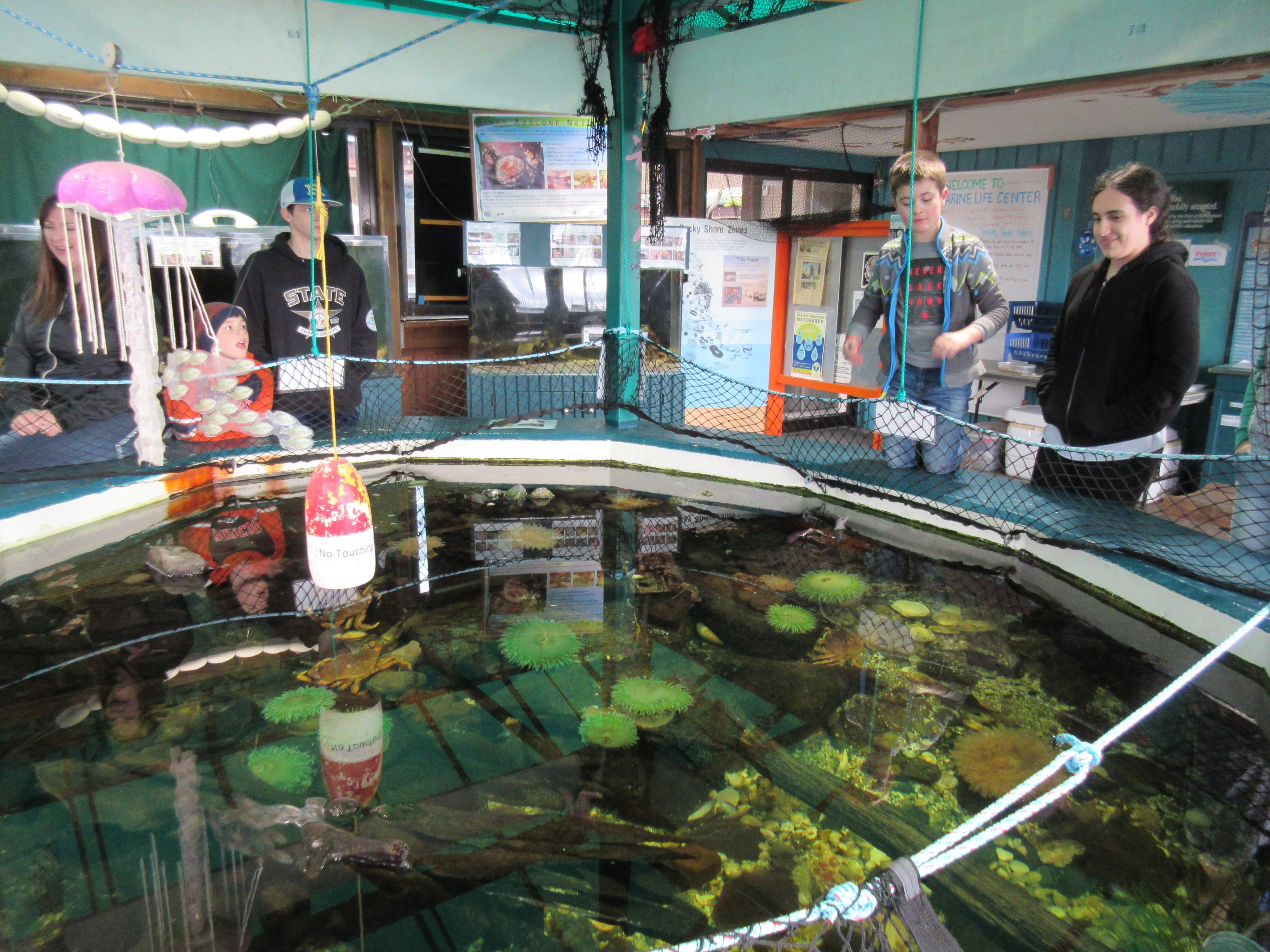 Large, Open-Topped Central Tank