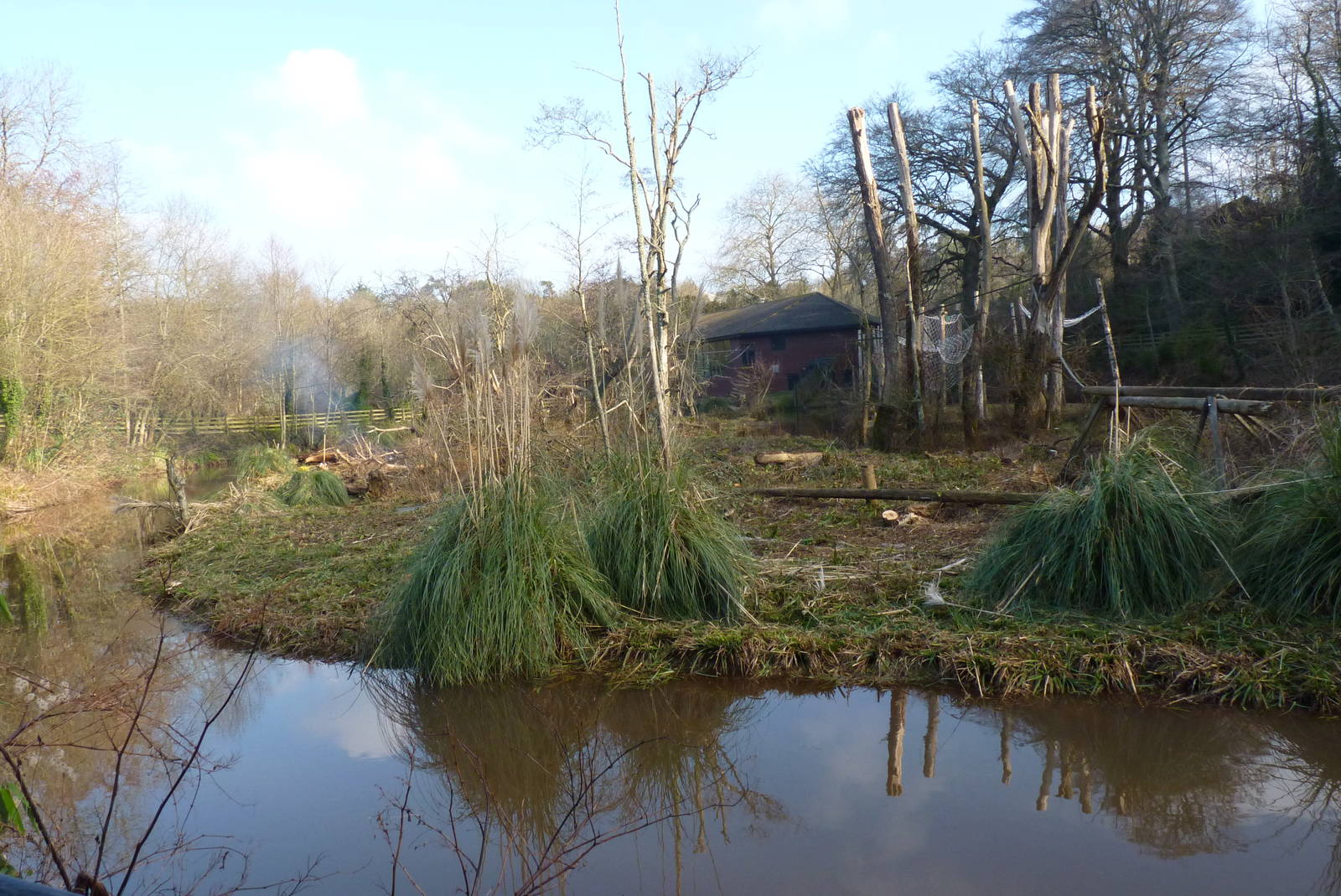 Large Orangutan Island, February 2015 #1