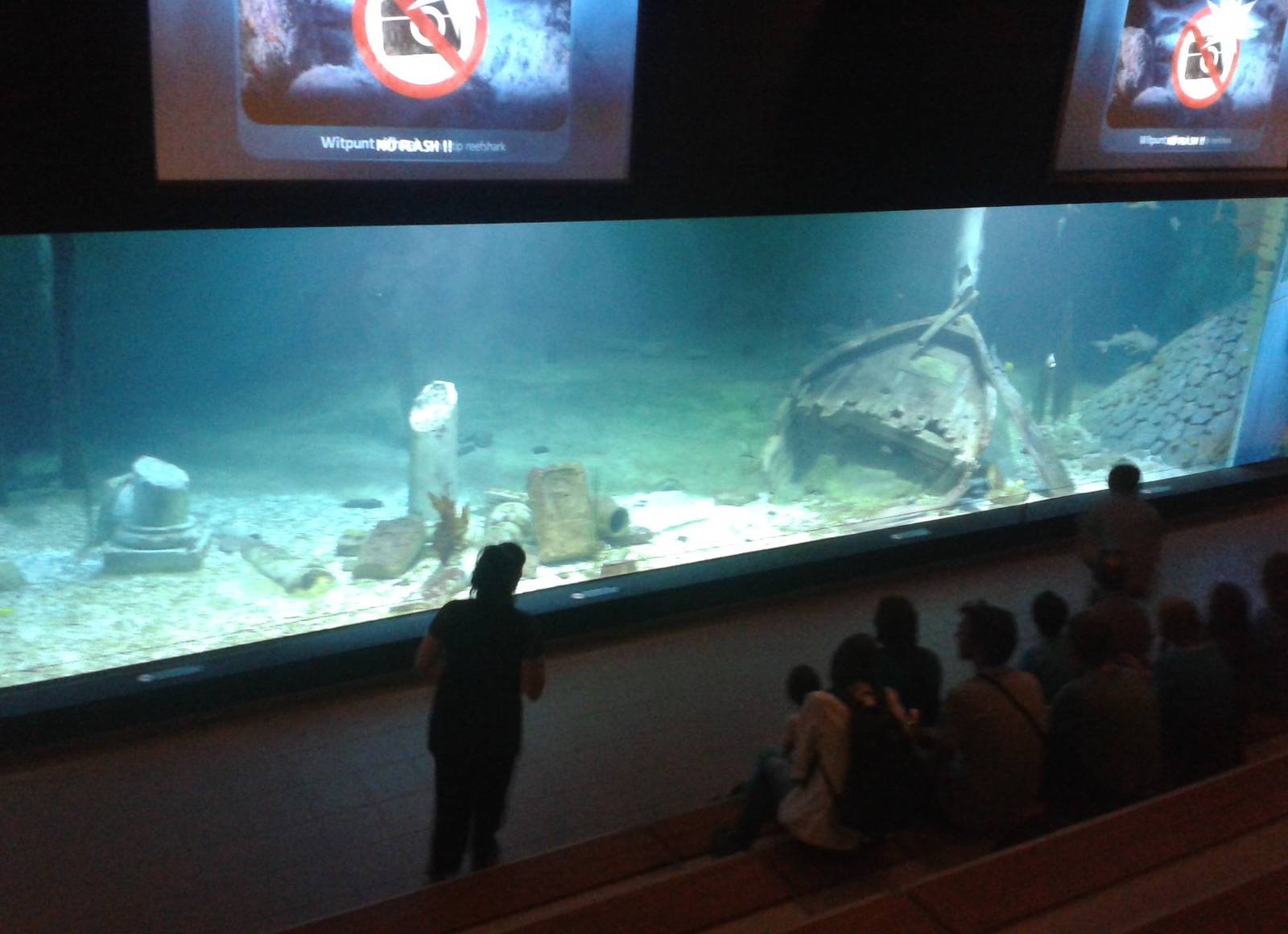 Large panorama aquarium