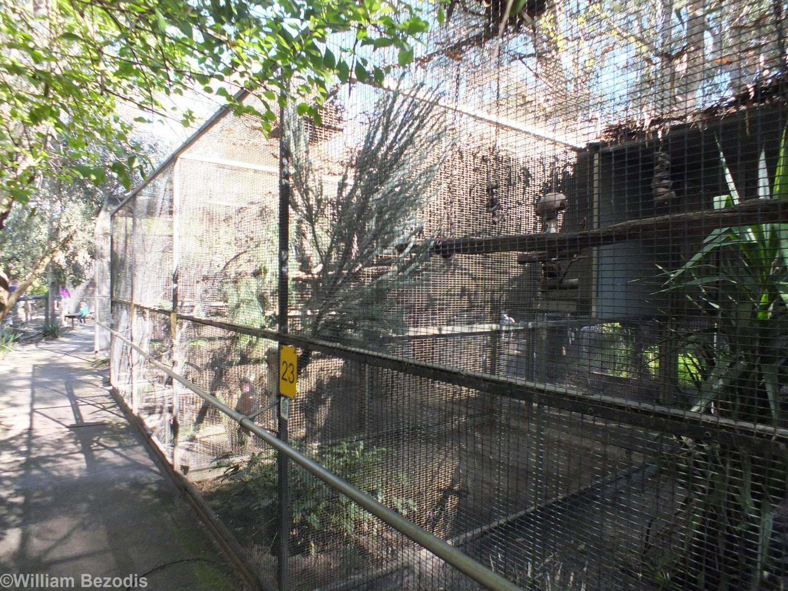 Large Parrot Enclosures