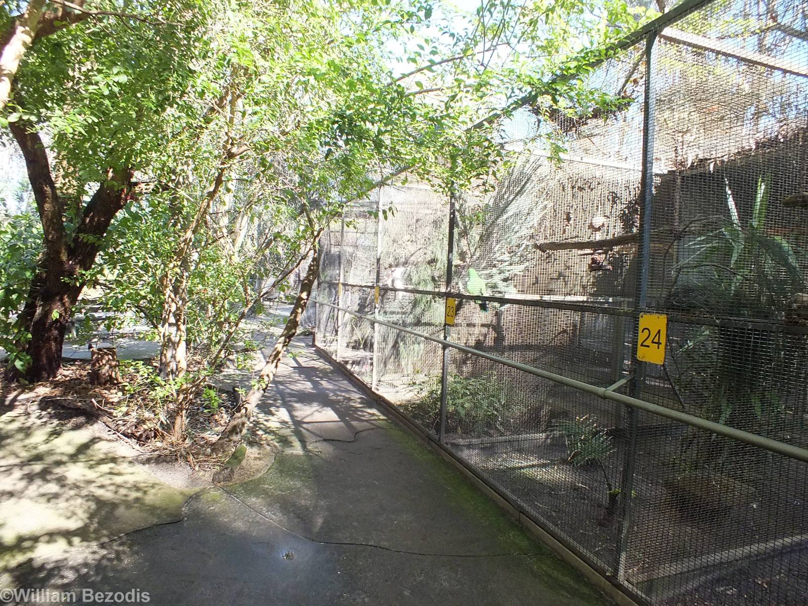 Large Parrot Enclosures