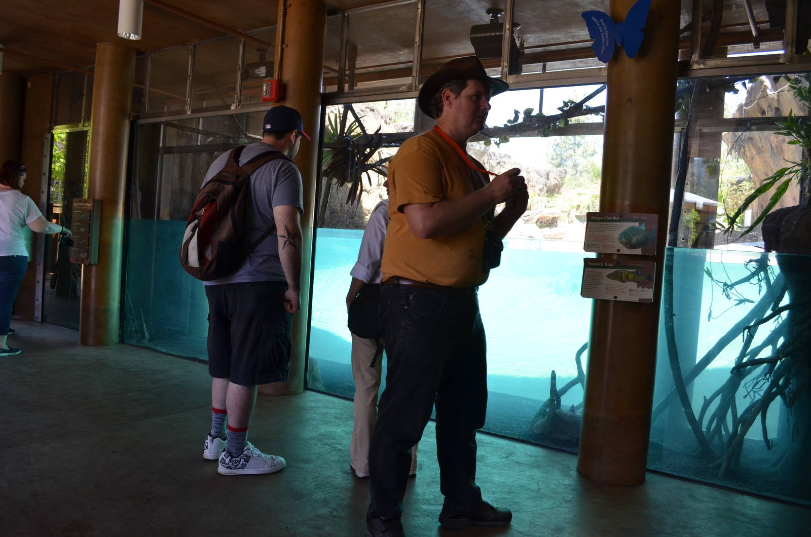 Large Piranha and Giant River Otter Viewing Window