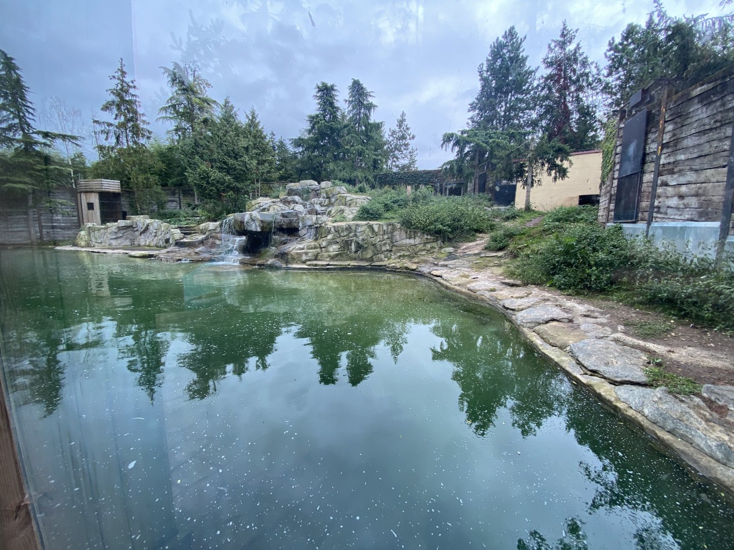Large polar bear exhibit