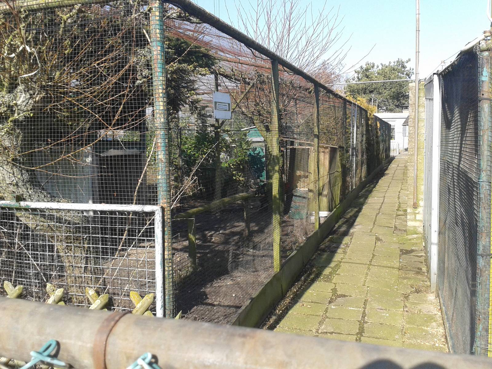 large " nature-aviary "