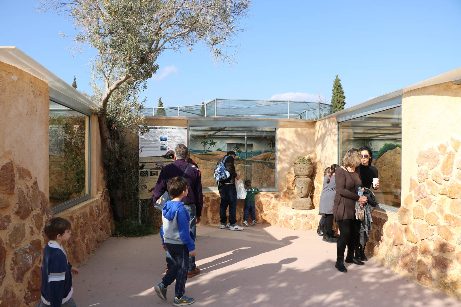 Large reptile viewing area, February 2016