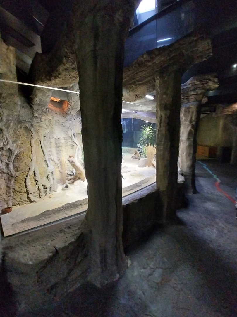 Large rivers of Africa