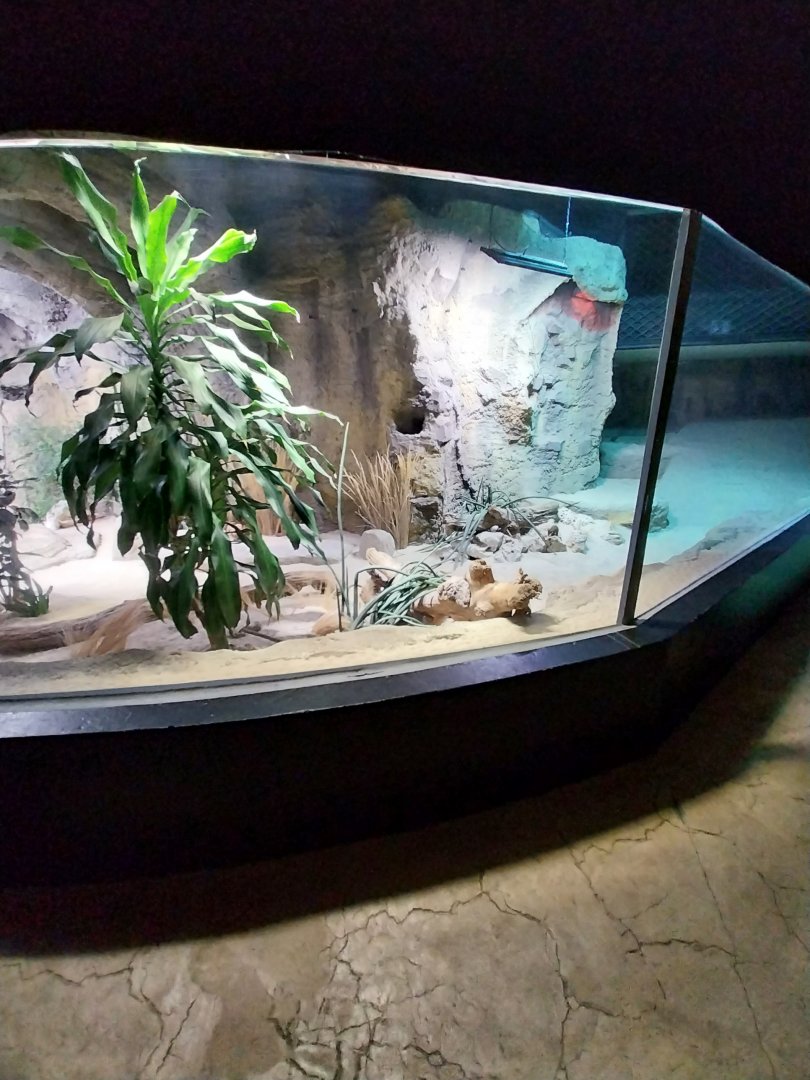 Large rivers of Africa