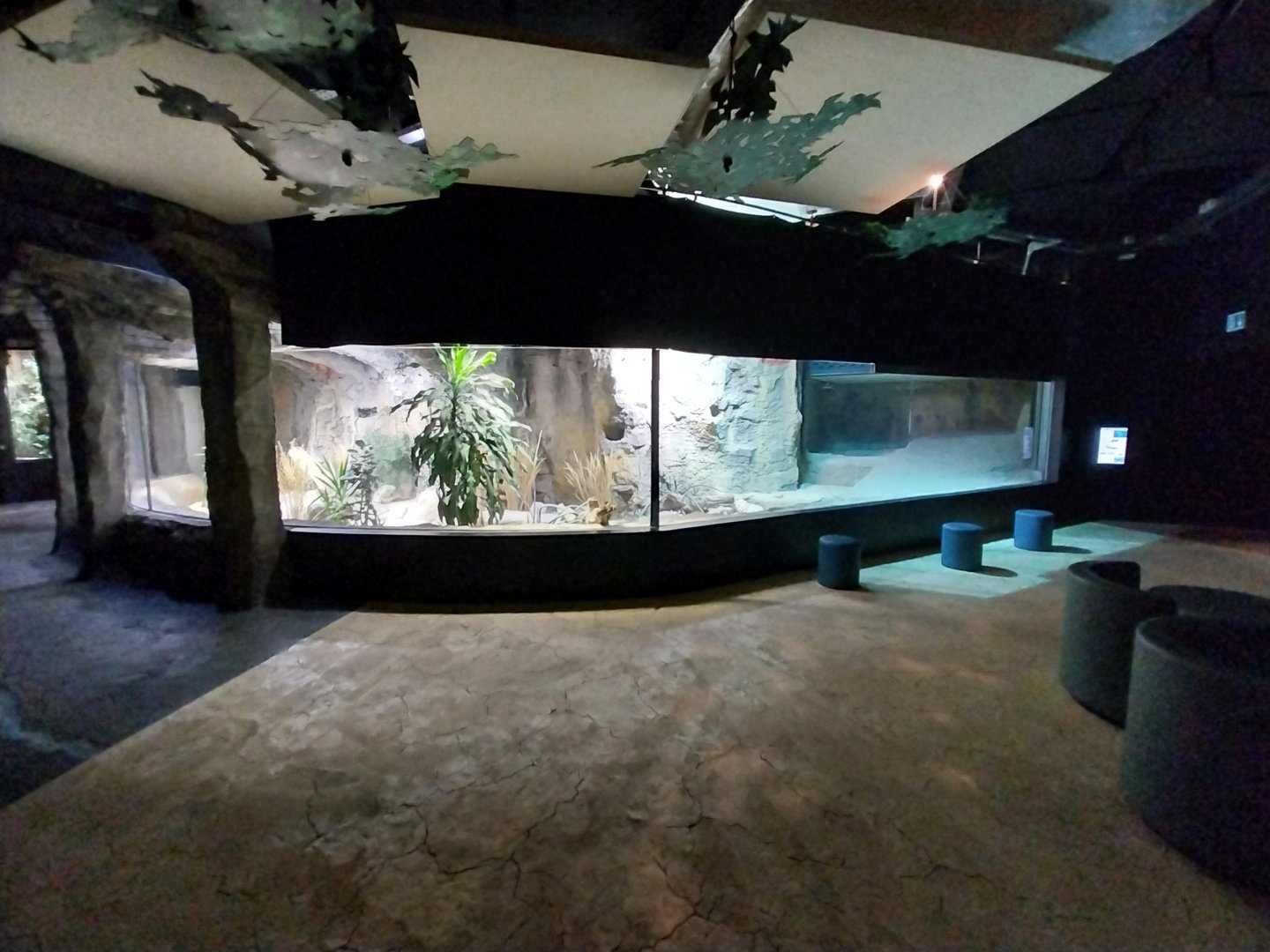 Large rivers of Africa