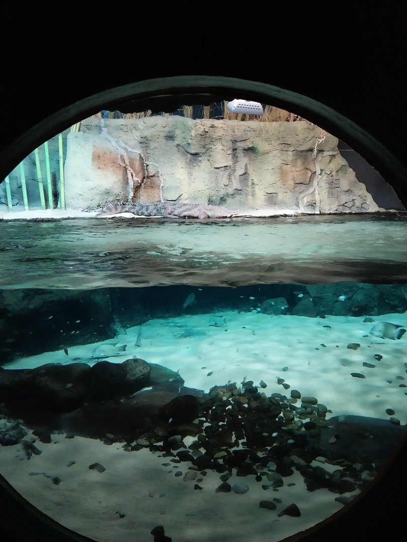 Large rivers of Africa