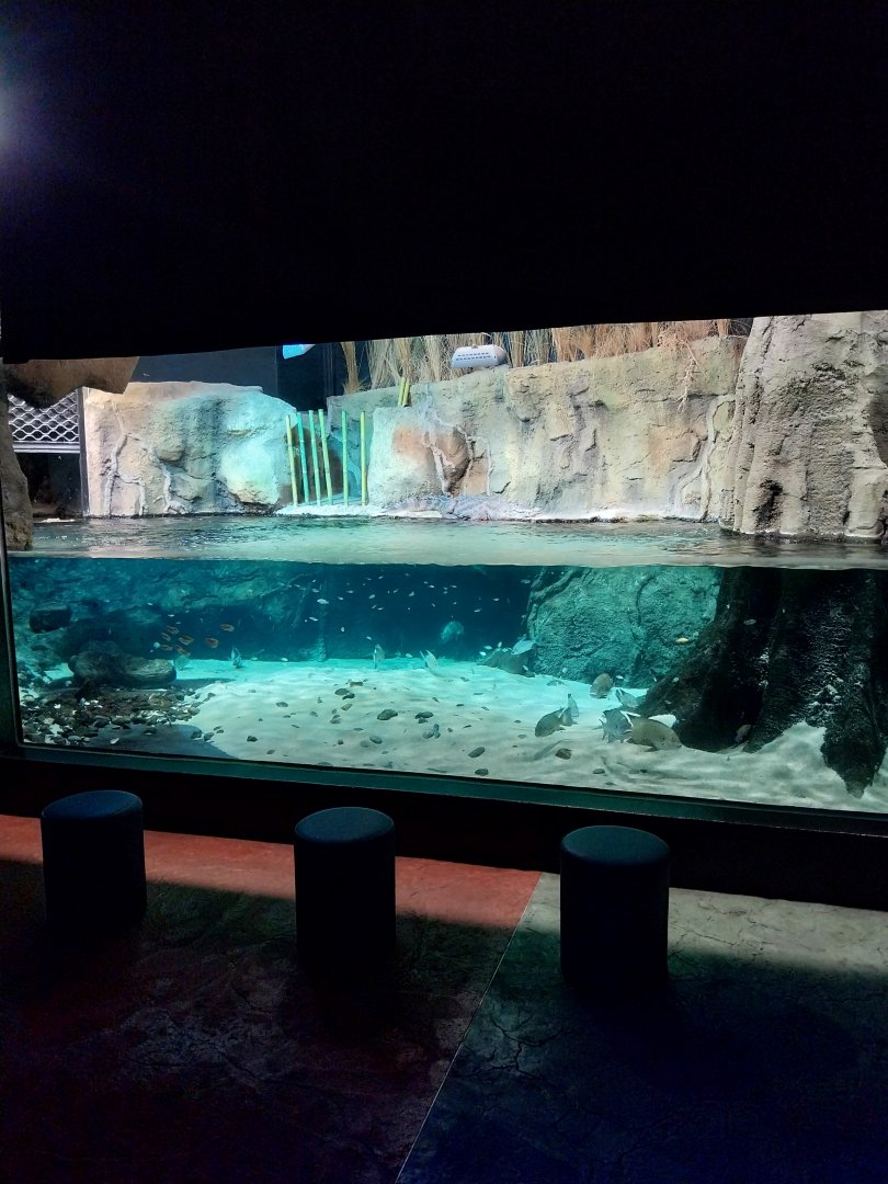 Large rivers of Africa