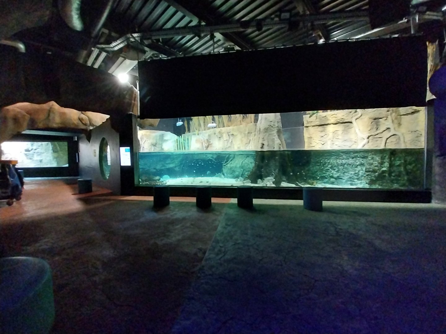 Large rivers of Africa