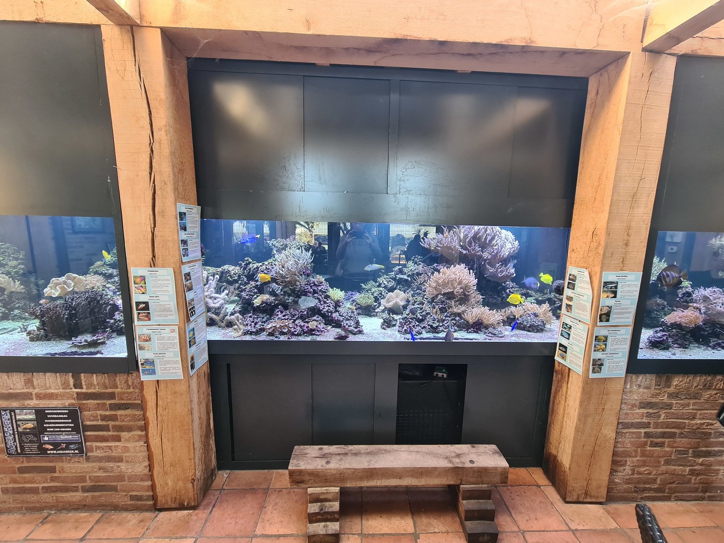 Large saltwater tank in the entrance building