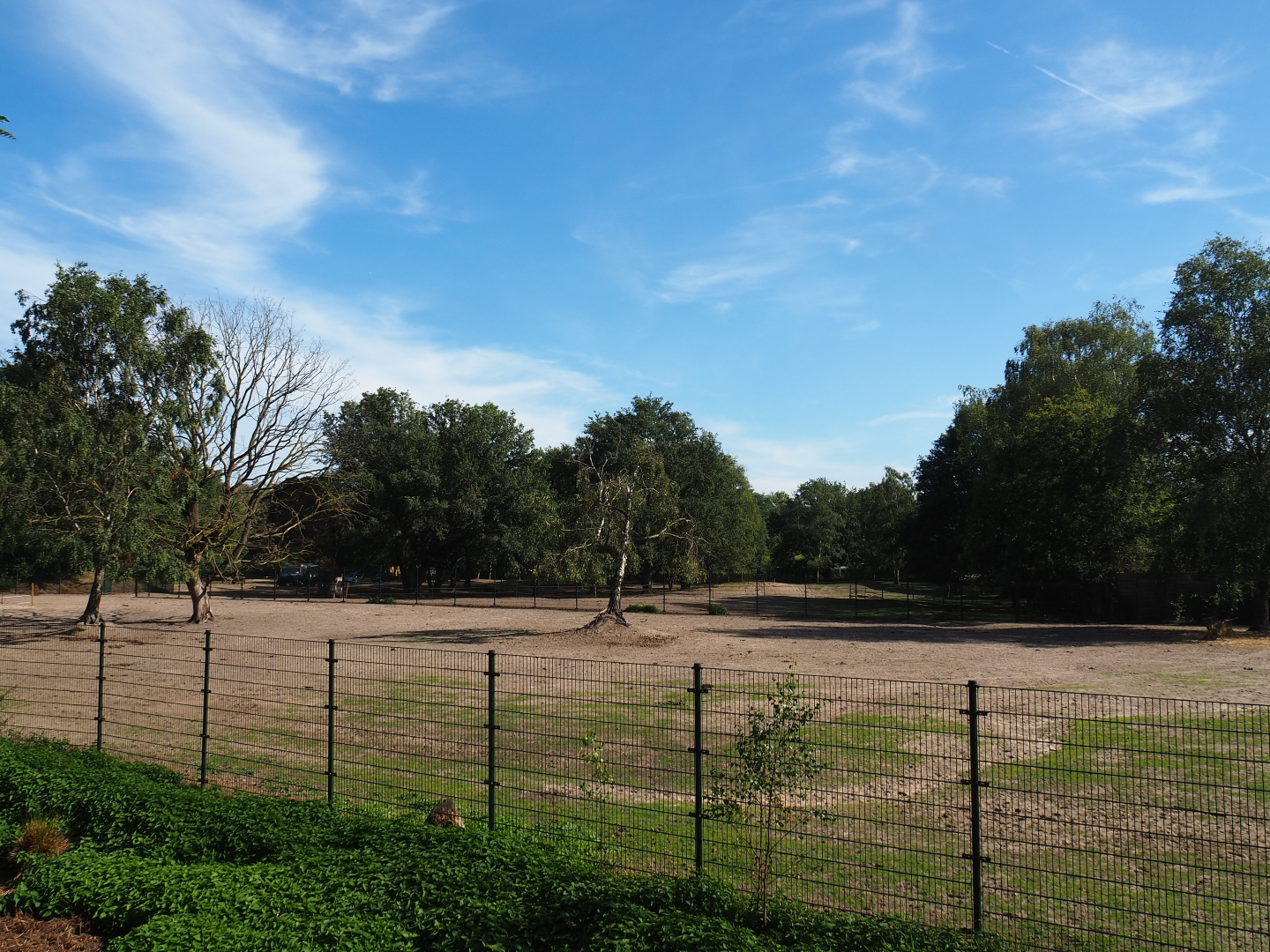 Large separation paddock for the animals of the savanna hoofstock paddock, 2019-09-15