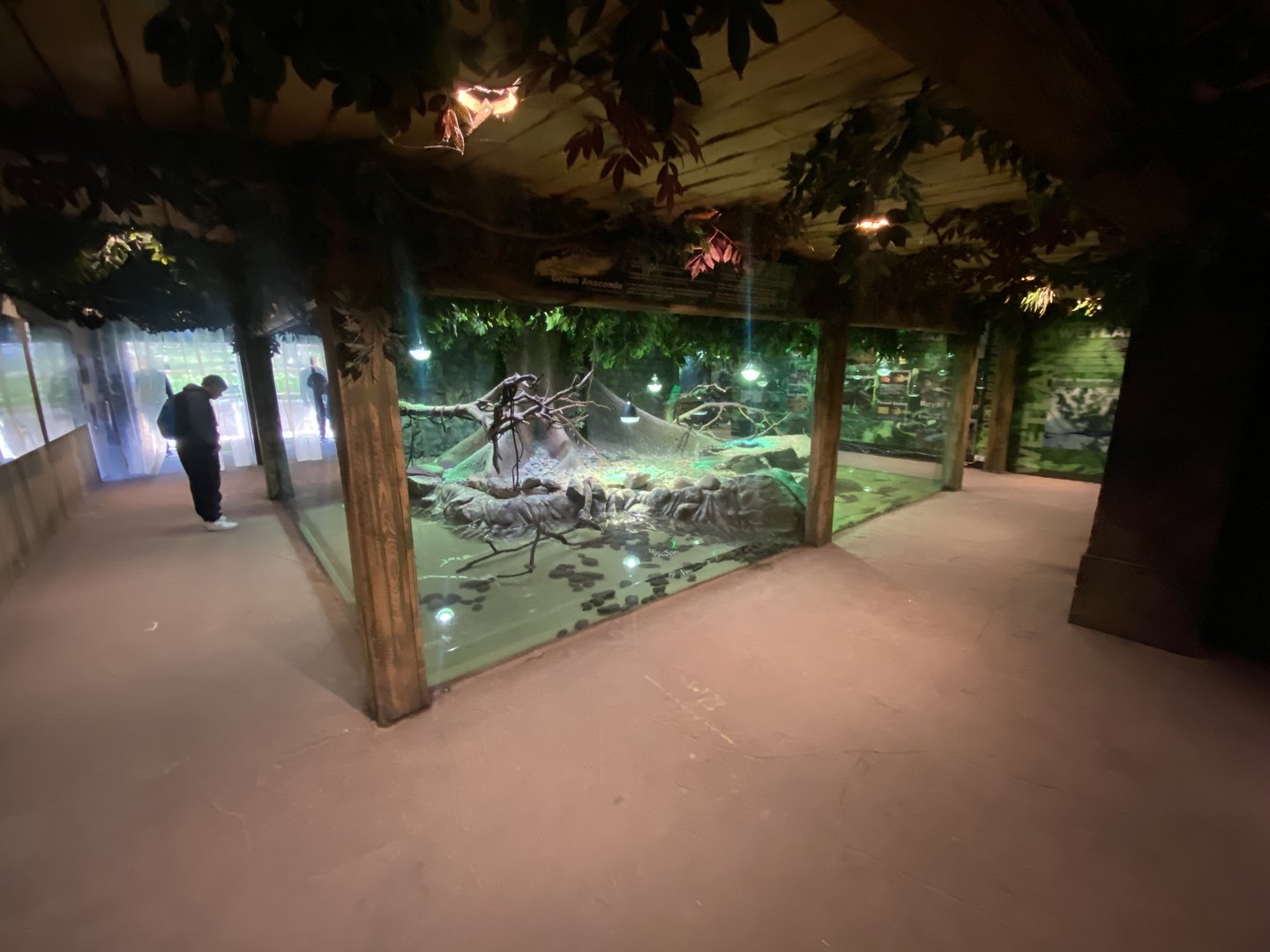 Large snake exhibits 150523