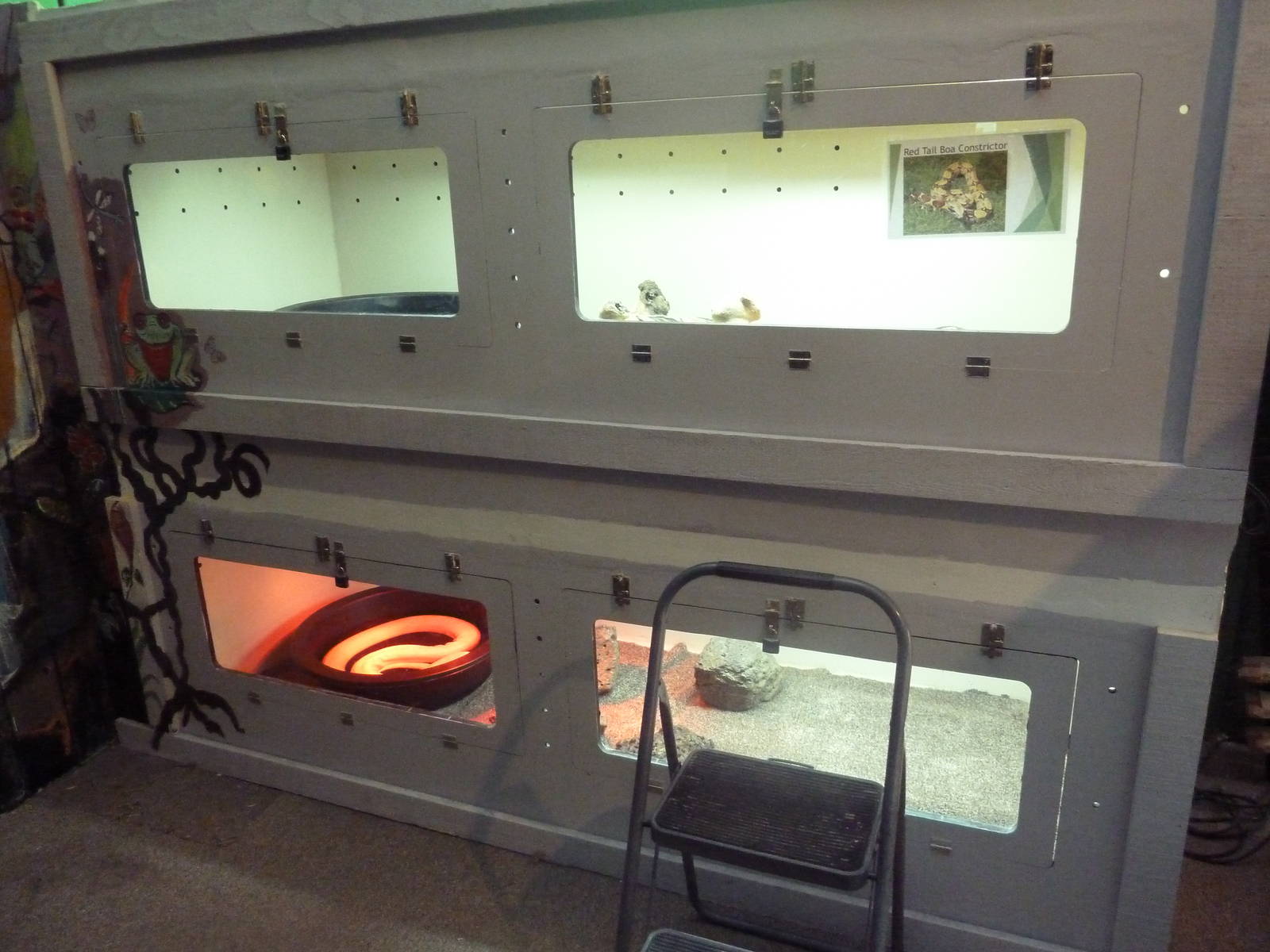 Large Snake Exhibits