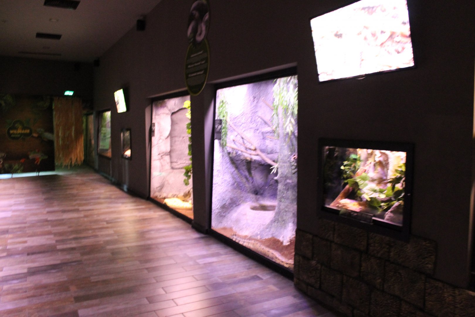 Large Sneke-enclosures